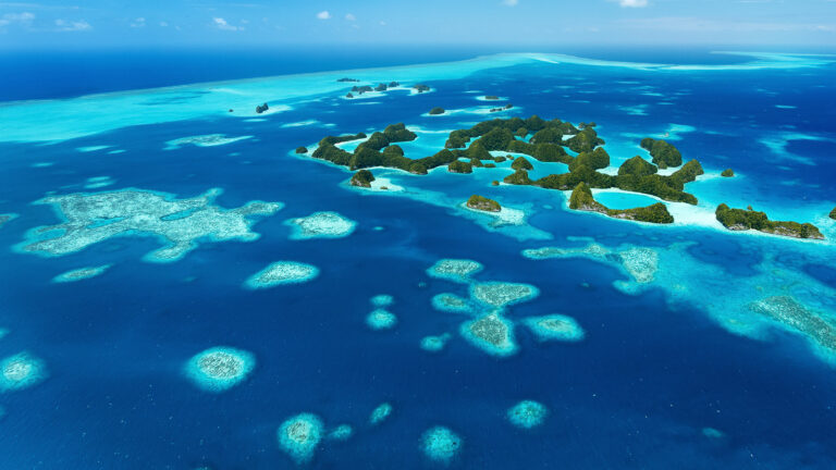 Dive Palau – Micronesia with Brisbane Scuba – November 2023