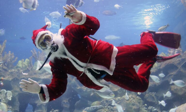 Make a Splash this Christmas: Scuba Dive Day Trips